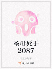 圣母死于2087