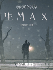 逍遥小书生MAX