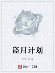 盗月计划