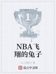 NBA飞翔的兔子