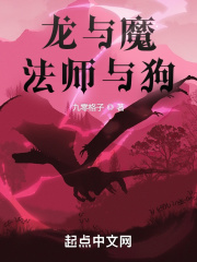 龙与魔法师与狗