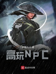 高玩NPC